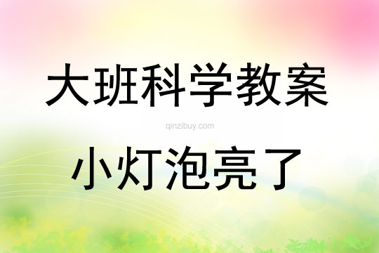 大班科學《小燈泡亮了》教案反思