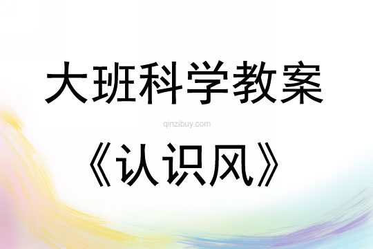 大班科學(xué)活動(dòng)教案：認(rèn)識(shí)風(fēng)教案