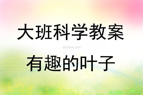大班科學有趣的葉子教案