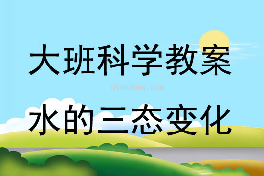 大班科學水的三態變化教案反思