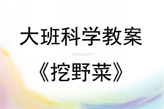 大班科學(xué)活動(dòng)教案：挖野菜教案(附教學(xué)反思)