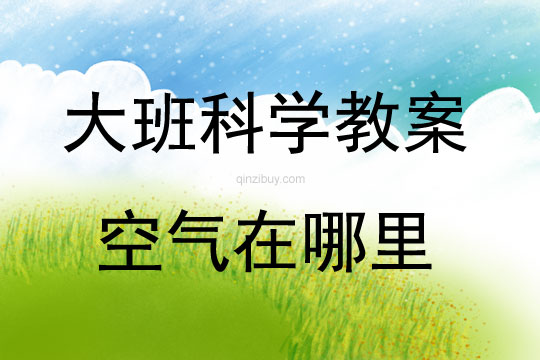 大班科學(xué)空氣在哪里教案反思