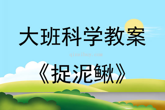 大班科學活動捉泥鰍教案反思
