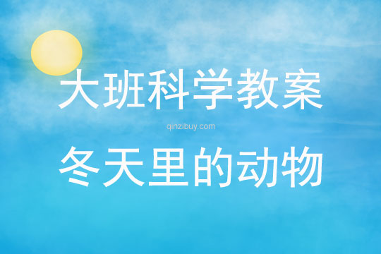 大班科學活動冬天里的動物教案反思