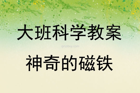 大班科學活動教案：神奇的磁鐵教案(附教學反思)