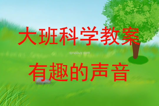 大班科學活動教案：有趣的聲音教案(附教學反思)