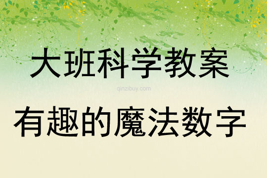 大班科學活動有趣的魔法數字教案反思