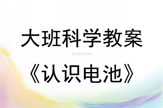 大班科學活動讓玩具動起來—認識電池教案反思