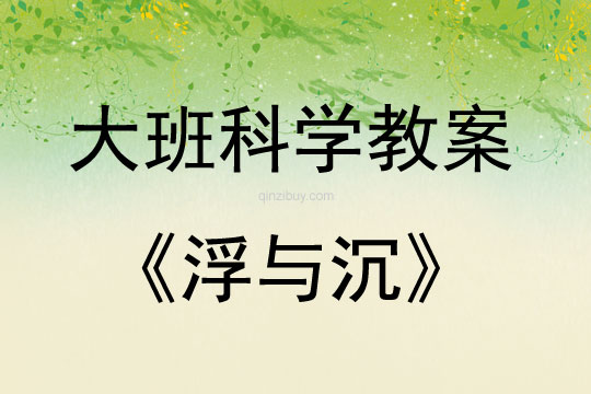大班科學(xué)活動浮與沉教案反思