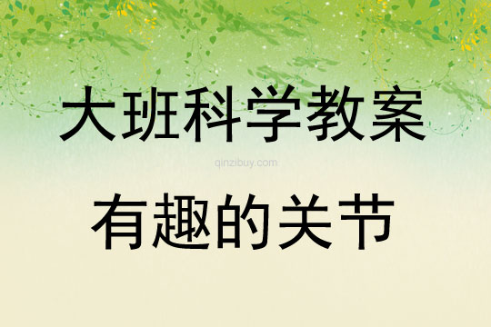 大班科學活動有趣的關節教案反思