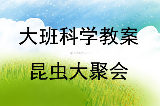 大班科學昆蟲大聚會教案反思