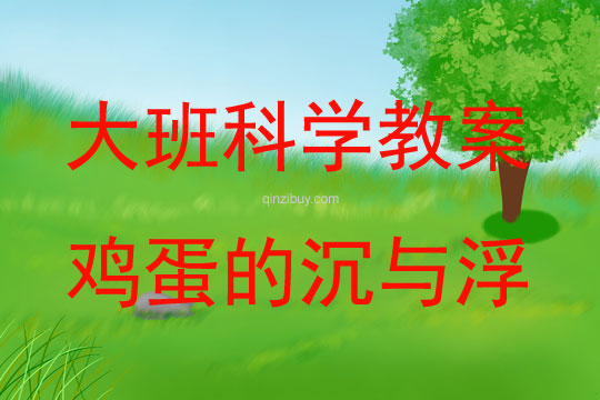 大班科學(xué)雞蛋的沉與浮教案反思