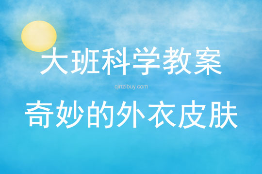 大班科學(xué)活動教案：奇妙的外衣皮膚教案(附教學(xué)反思)