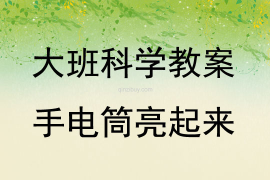 大班科學手電筒亮起來教案反思