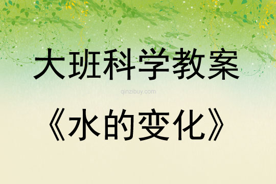 大班科學(xué)水的變化教案反思
