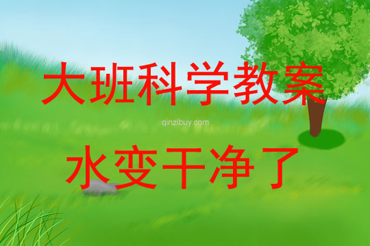 大班科學水變干凈了教案反思