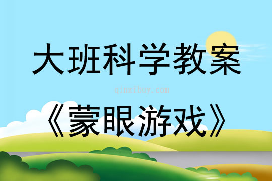 大班科學活動蒙眼游戲教案反思