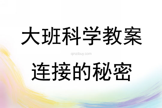 大班科學連接的秘密教案反思