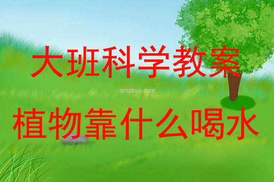 大班科學探究植物靠什么喝水的教案反思