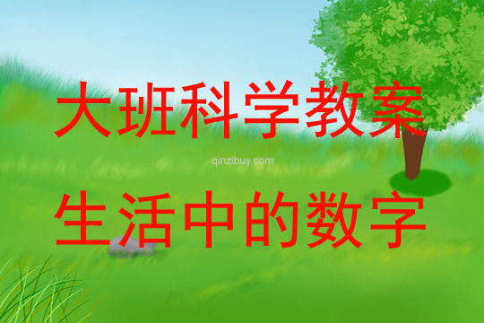大班科學活動教案：生活中的數字教案(附教學反思)