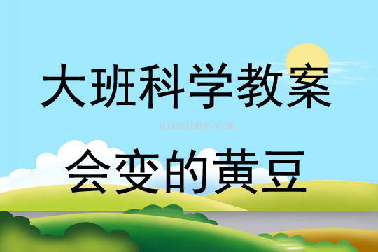 大班科學(xué)會(huì)變的黃豆教案反思