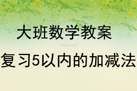 大班數學活動復習5以內的加減法教案反思