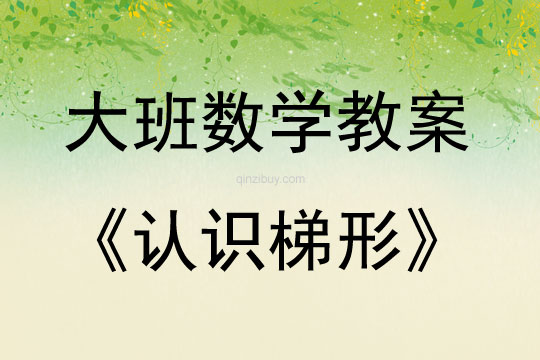大班數(shù)學(xué)活動認(rèn)識梯形教案反思