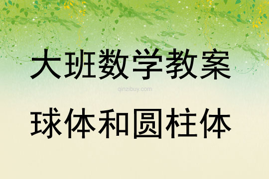 大班數(shù)學(xué)活動球體和圓柱體教案反思