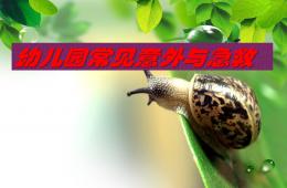 幼兒園常見意外與急救PPT課件