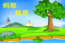 幼兒園故事螞蟻報恩PPT課件