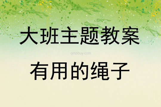 大班主題活動有用的繩子教案反思