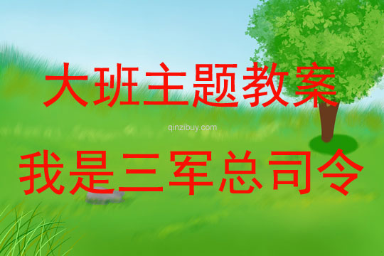 大班主題我是三軍總司令教案反思