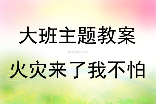 大班主題活動火災來了我不怕教案反思