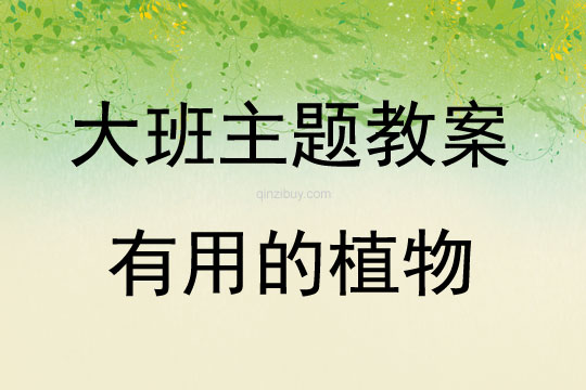 大班主題活動教案：有用的植物教案