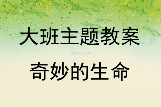 大班主題奇妙的生命教案反思