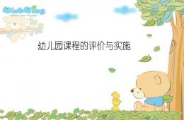 幼兒園課程的評(píng)價(jià)與實(shí)施PPT課件