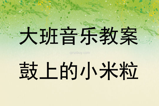 大班音樂活動鼓上的小米粒教案反思