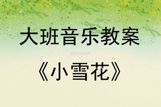 大班音樂活動小雪花教案反思