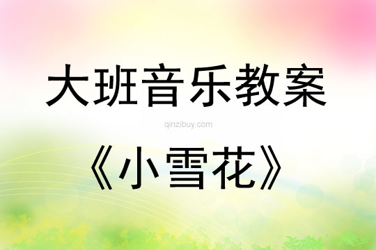 大班音樂小雪花教案反思