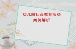幼兒園社會教育活動案例解析PPT課件