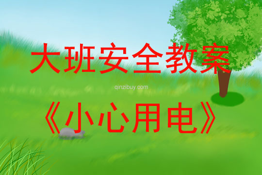 大班安全小心用電教案反思