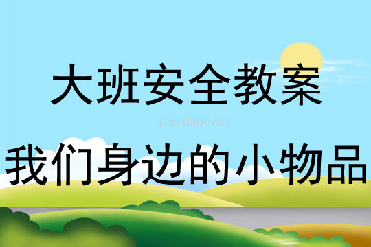 大班安全活動我們身邊的小物品教案反思