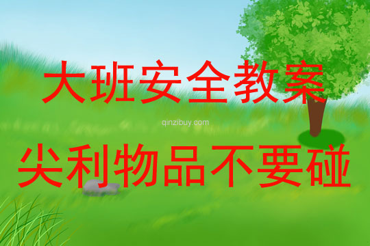 大班安全尖利物品不要碰教案反思