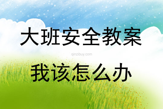 大班安全教育活動(dòng)我該怎么辦教案反思