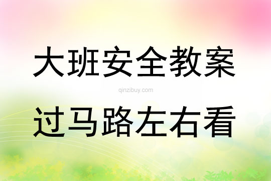 大班安全過馬路左右看教案反思