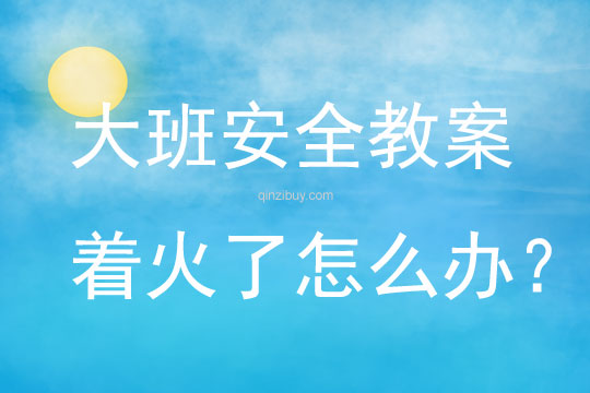 大班安全教育活動著火了怎么辦？教案反思