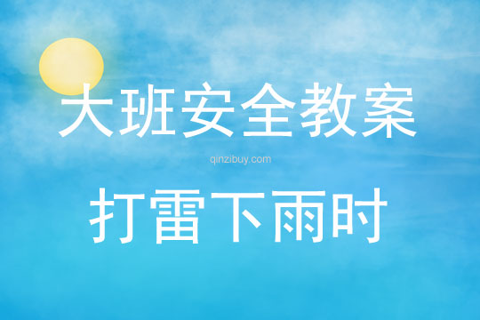 大班安全打雷下雨時(shí)教案反思