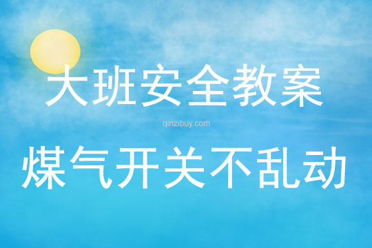 大班安全煤氣開關不亂動教案反思