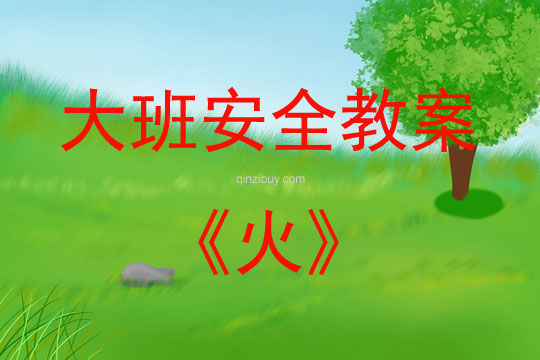 大班安全火教案反思
