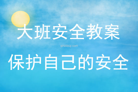 大班安全知識教育活動保護自己的安全教案反思